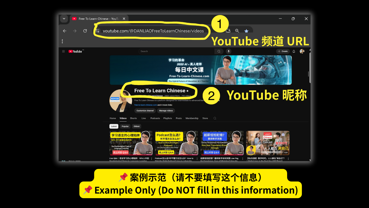 示例截图 / Example Screenshot